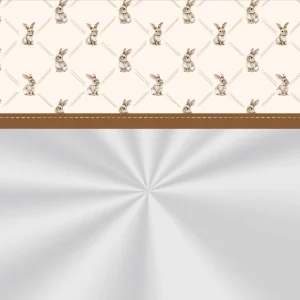 SACO TRANSPARENTE CLASSIQUE BUNNY BARRADO  52x70CM