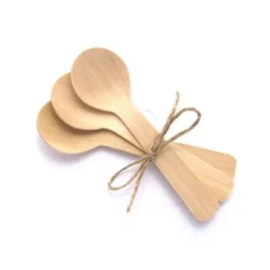 Mini Colher de Madeira 10cm com 10 uni