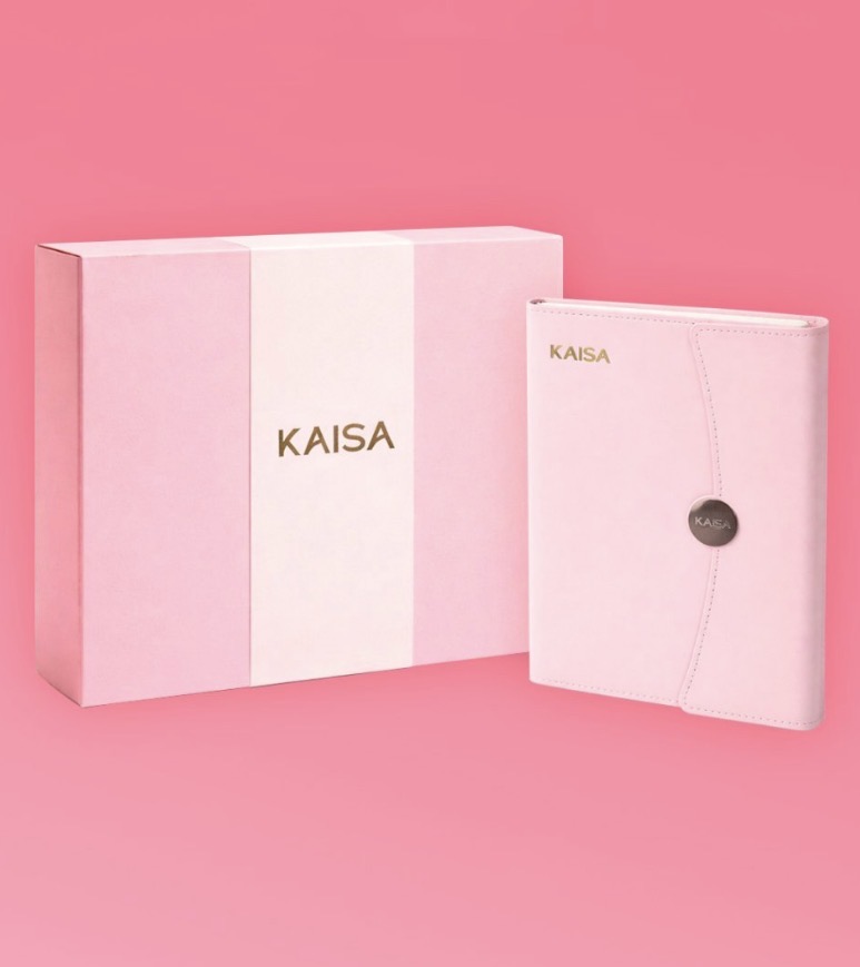 Agenda Kaisa